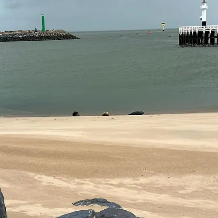 Apartamento Bonelly Ostende