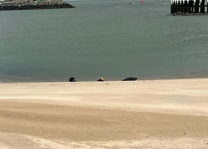 Apartment Bonelly Ostende